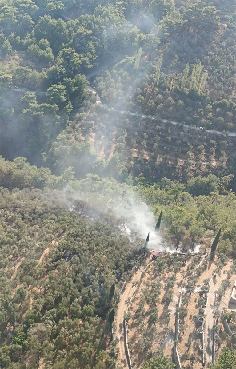 Kazdağları'ndaki Orman Yangını Hafızalardan Silinmeyecek