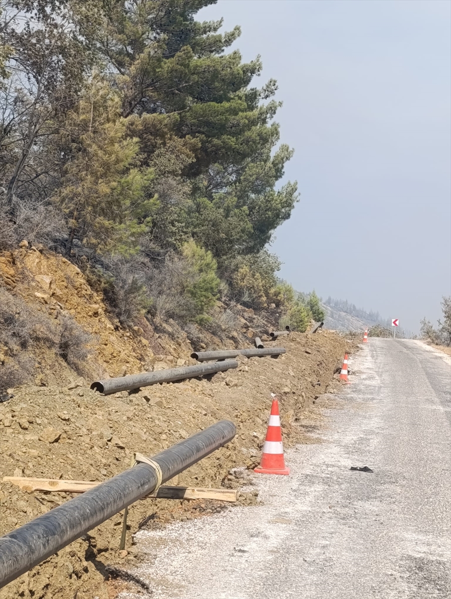 Mersin'de Çıkan Orman Yangınının Şok Detayları: Kimler Tutuklandı?