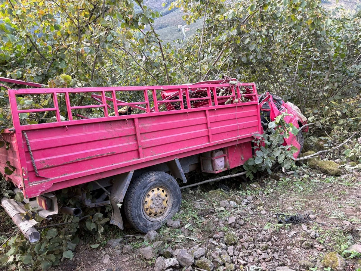 Giresun'da Yürek Burkan Kaza: Fındık Bahçesine Devrilen Kamyonet Facia Yarattı