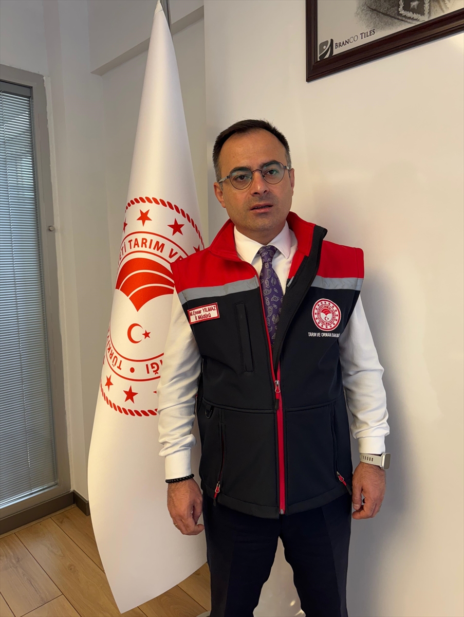 Giresun'da Hayvancılıkta Büyük İvme: Desteklenen Ari Tesisler