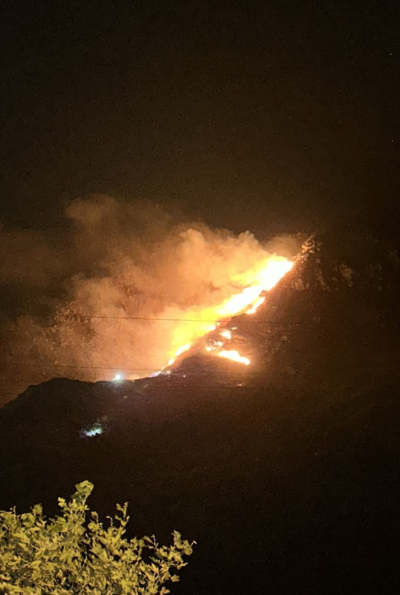 Marmara Adası'ndaki Yangın İyi ve Kötü Yanlarıyla Tartışılıyor