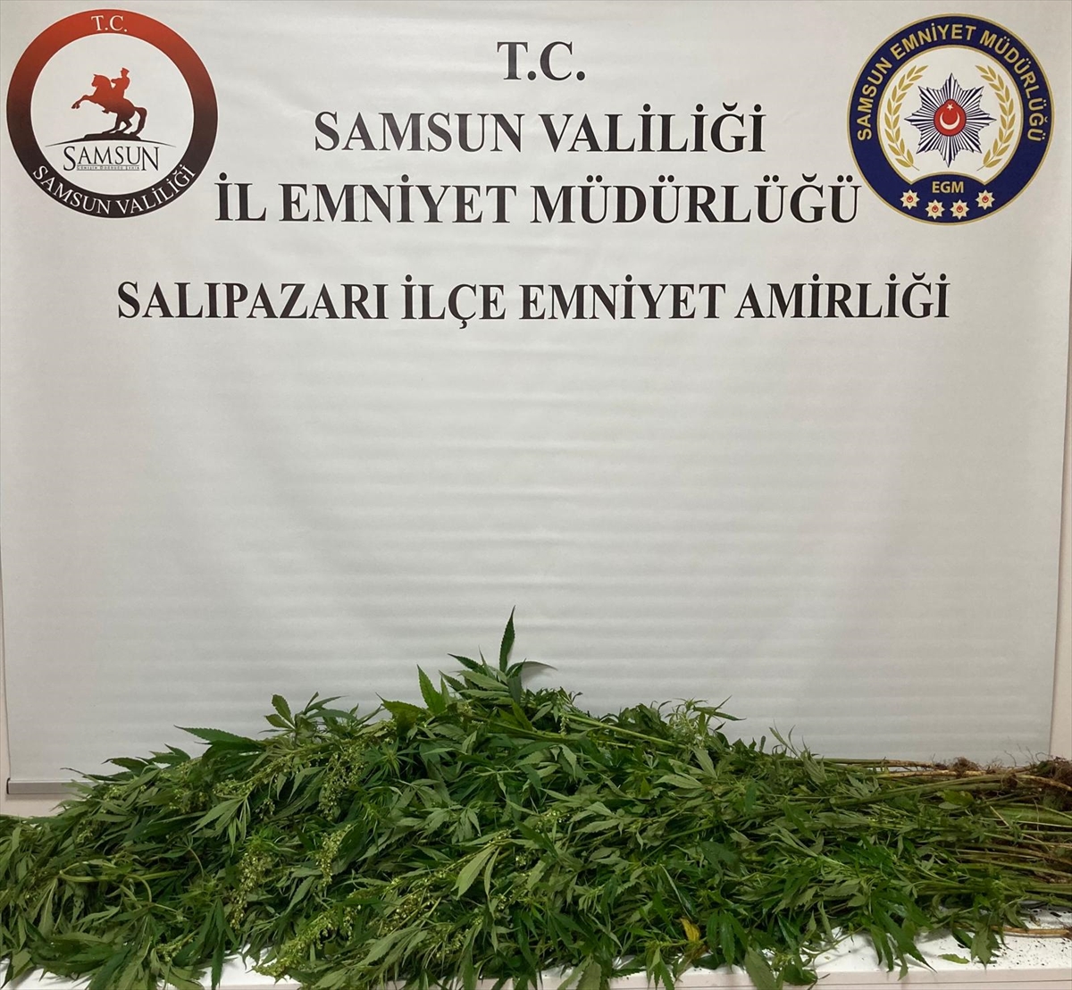 Samsun'da Uyuşturucu Operasyonunda Şok Detaylar Ortaya Çıktı