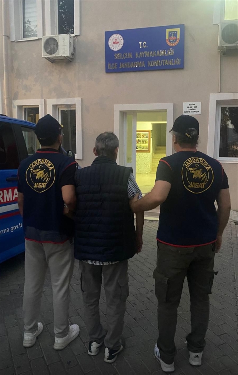 İzmir’de Şok Eden Olay: Sahipsiz Hayvanlar Hedefte