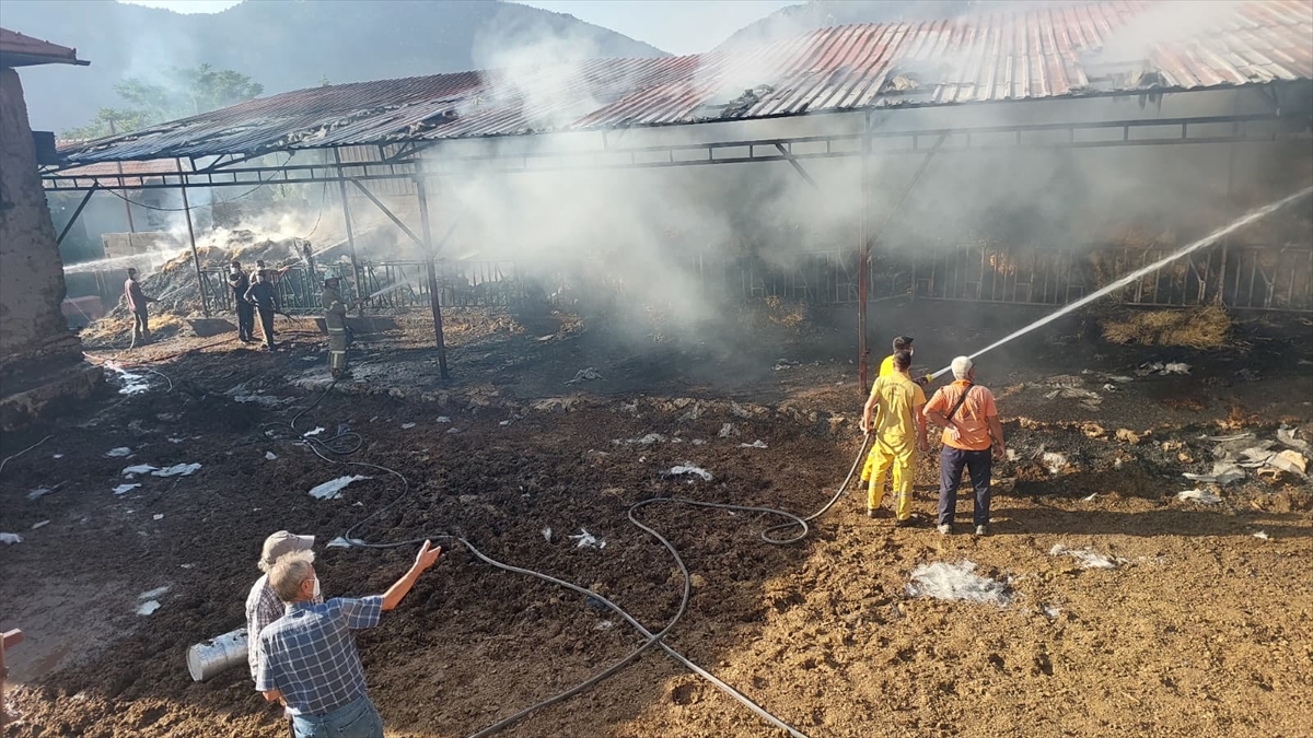Burdur'un Armut Köyü'nde Korkutan Yangın! Hayvanlar Telef Oldu
