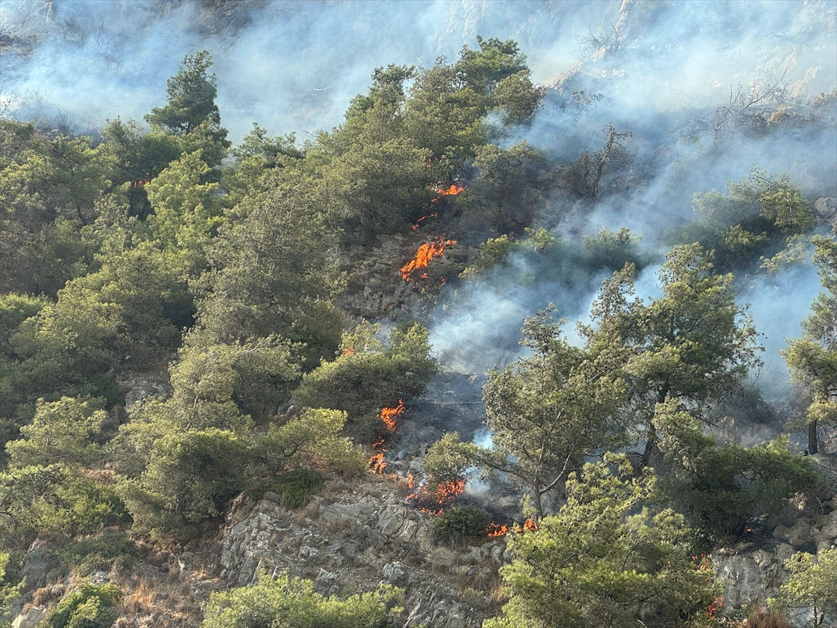 Söke'deki Orman Yangını Neredeyse Felakete Dönüşüyordu