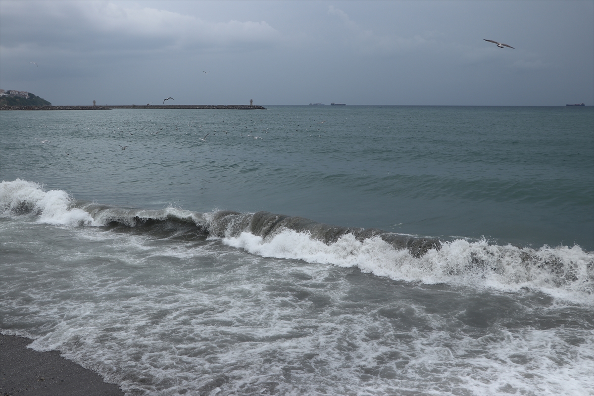 Marmara'nın Sert Poyrazı Ulaşımı Felç Etti