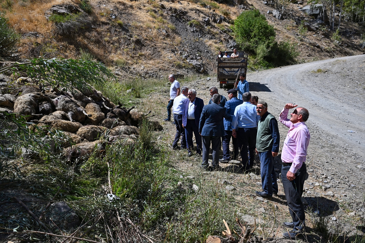 Van'da Korkunç Olay: 334 Küçükbaş Hayvan Kayalıklardan Düşerek Telef Oldu