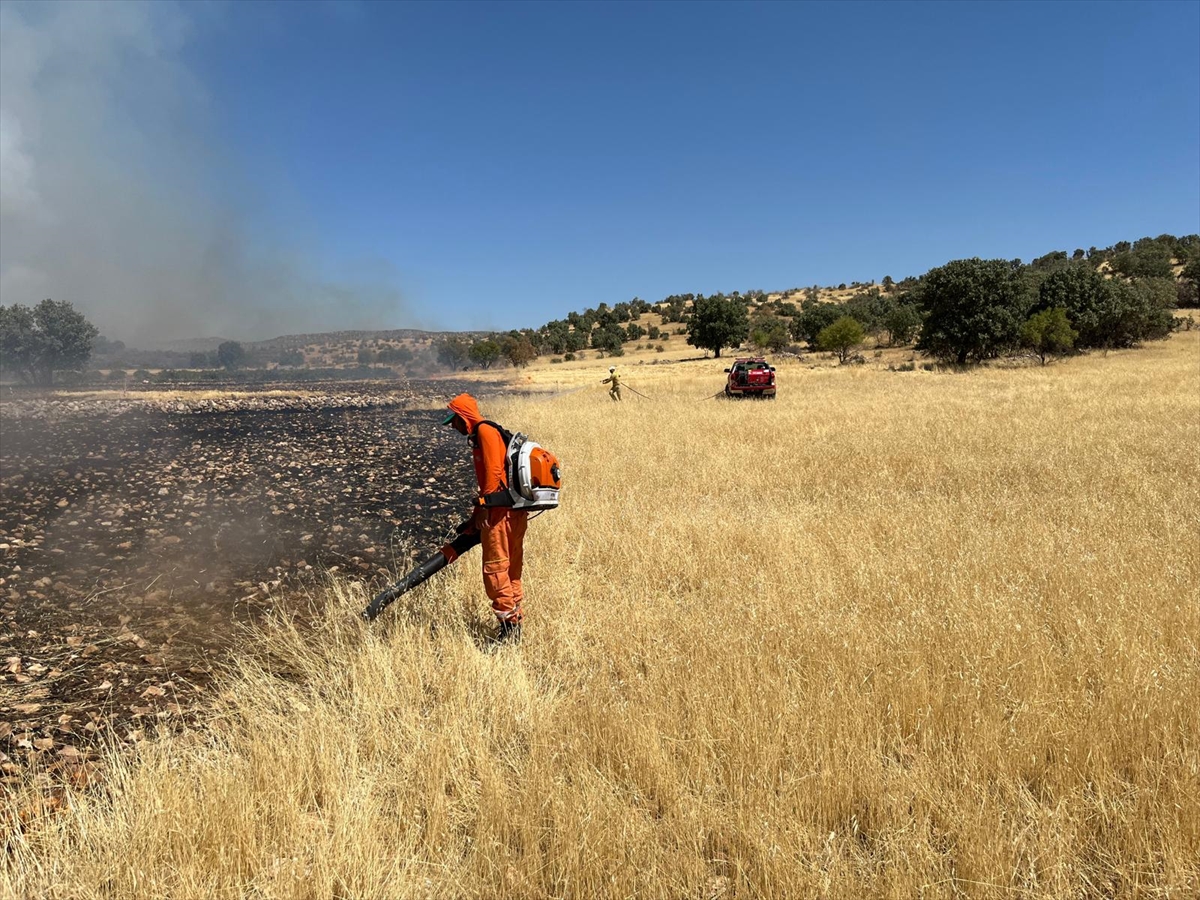 Mardin'de Ormanda Çıkan Yangın Çarpıcı Detaylarla Kontrol Altına Alındı