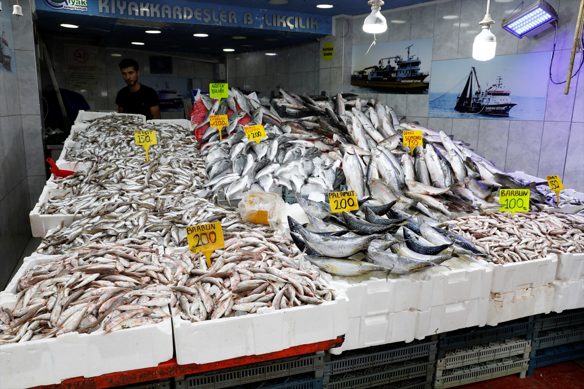 Hamsi Fiyatlarında Sürpriz Gelişme: Samsun Tezgahları Dolup Taşıyor