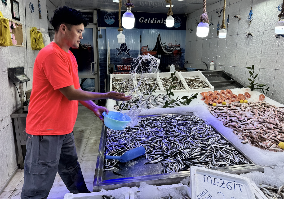 Sinop'ta Hamsi Bolluğu Balıkçıların Yüzünü Güldürüyor