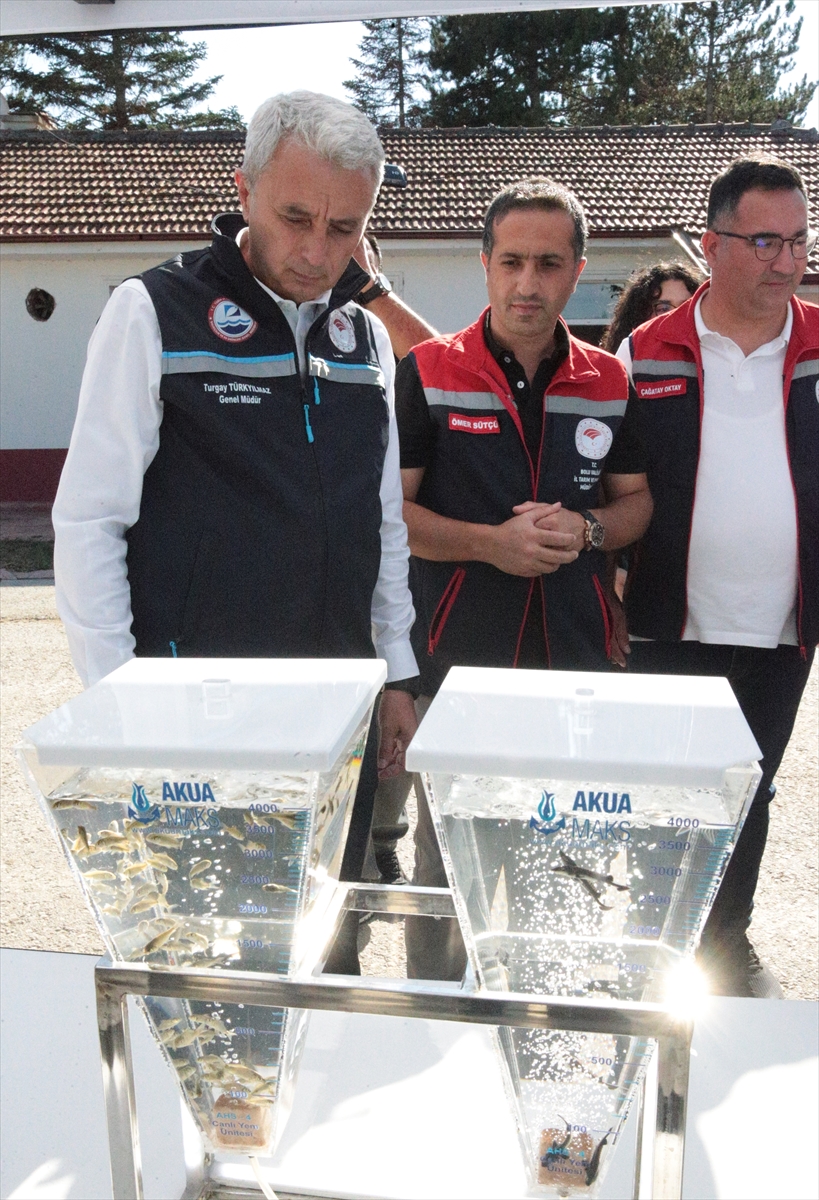 Bolu'da Su Ürünleri Üretiminde Büyük Atılım: Milyonlarca Balık Yavrusu Üretildi