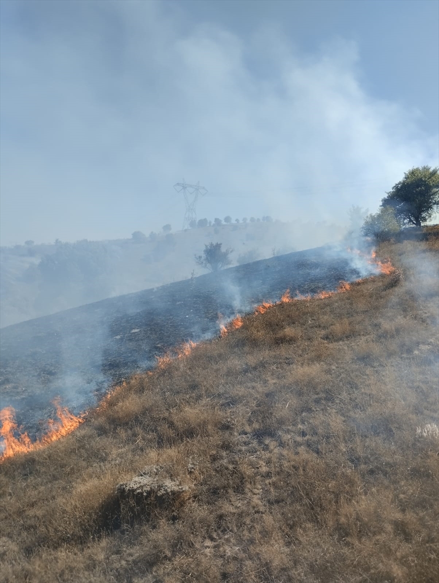 Tokat'ta Makilik Alanda Yangın: Panik Büyüyor