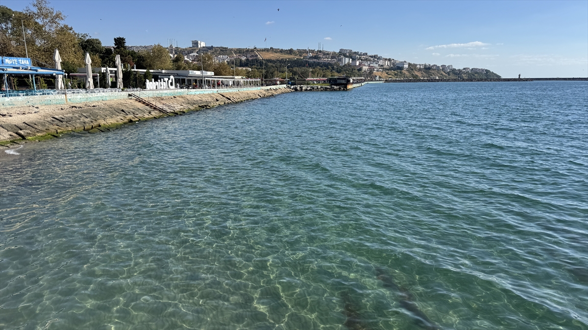 Tekirdağ'da Deniz Trafiği Yedi Geminin Rüzgarla Savaşı Sonrası Normale Döndü