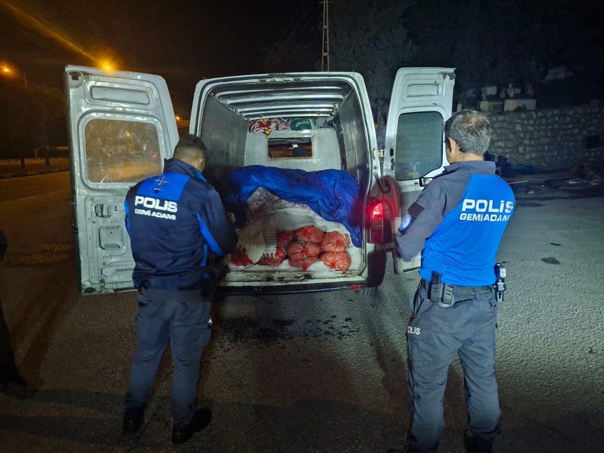 Samsun'da Yasa Dışı Avlanmaya Büyük Darbe: 5 Ton Midye Yakalandı