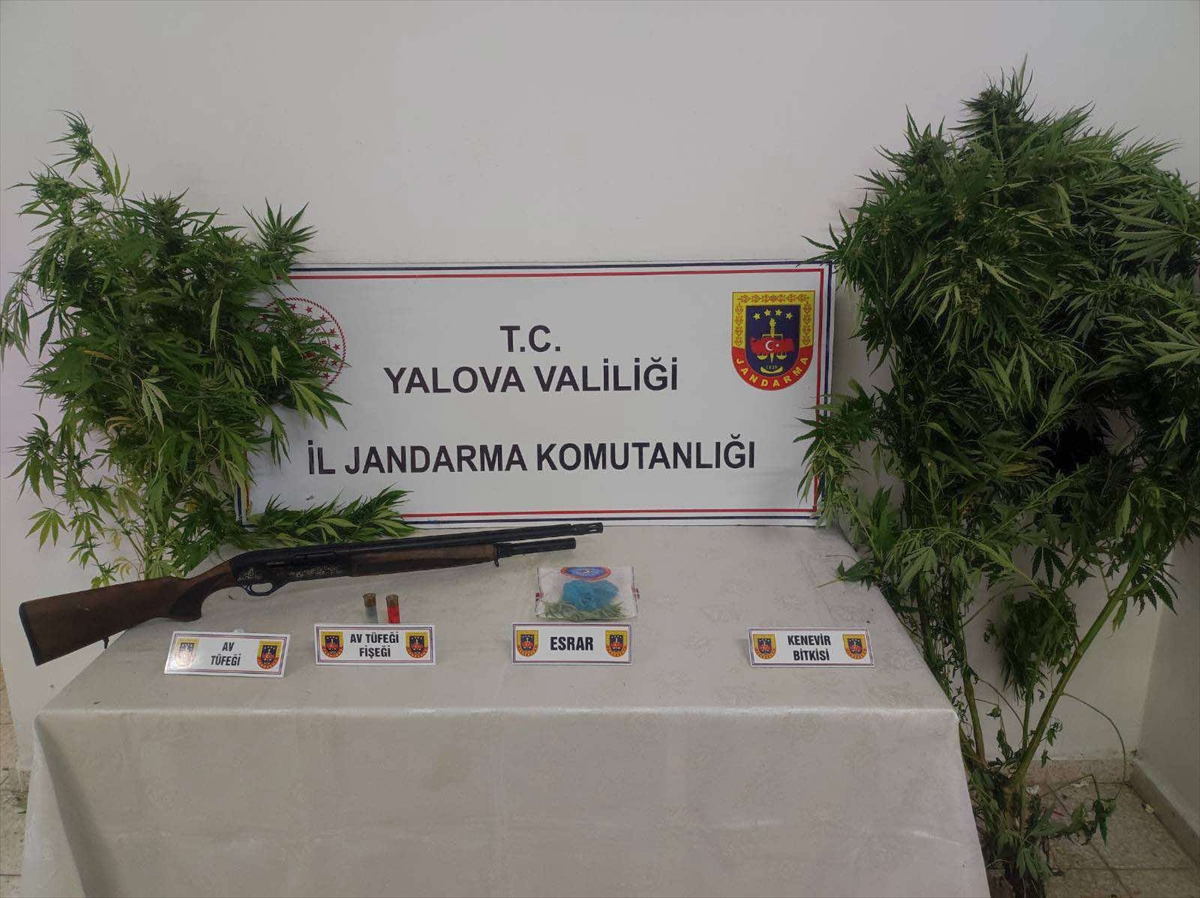 Yalova'da Kapsamlı Uyuşturucu Operasyonu Zanlılar Yakaladı