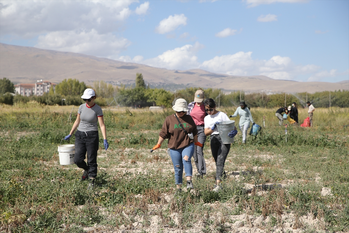 Niğde'de Tarımsal Eğitimde Yenilikler Üzerine Bir Yolculuk