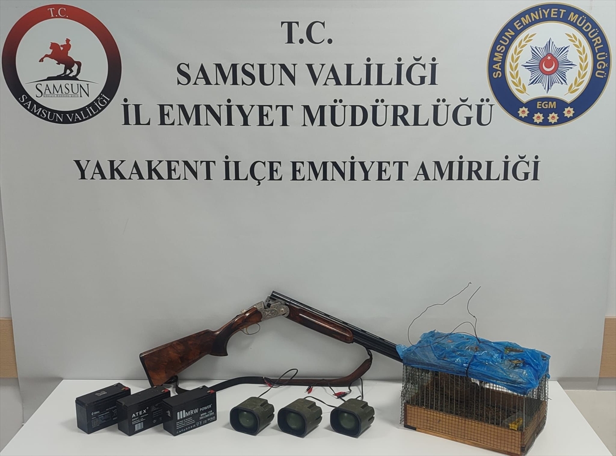 Kaçak Av Tekniği: Samsunlu Şüpheli Bıldırcınla Yakalandı