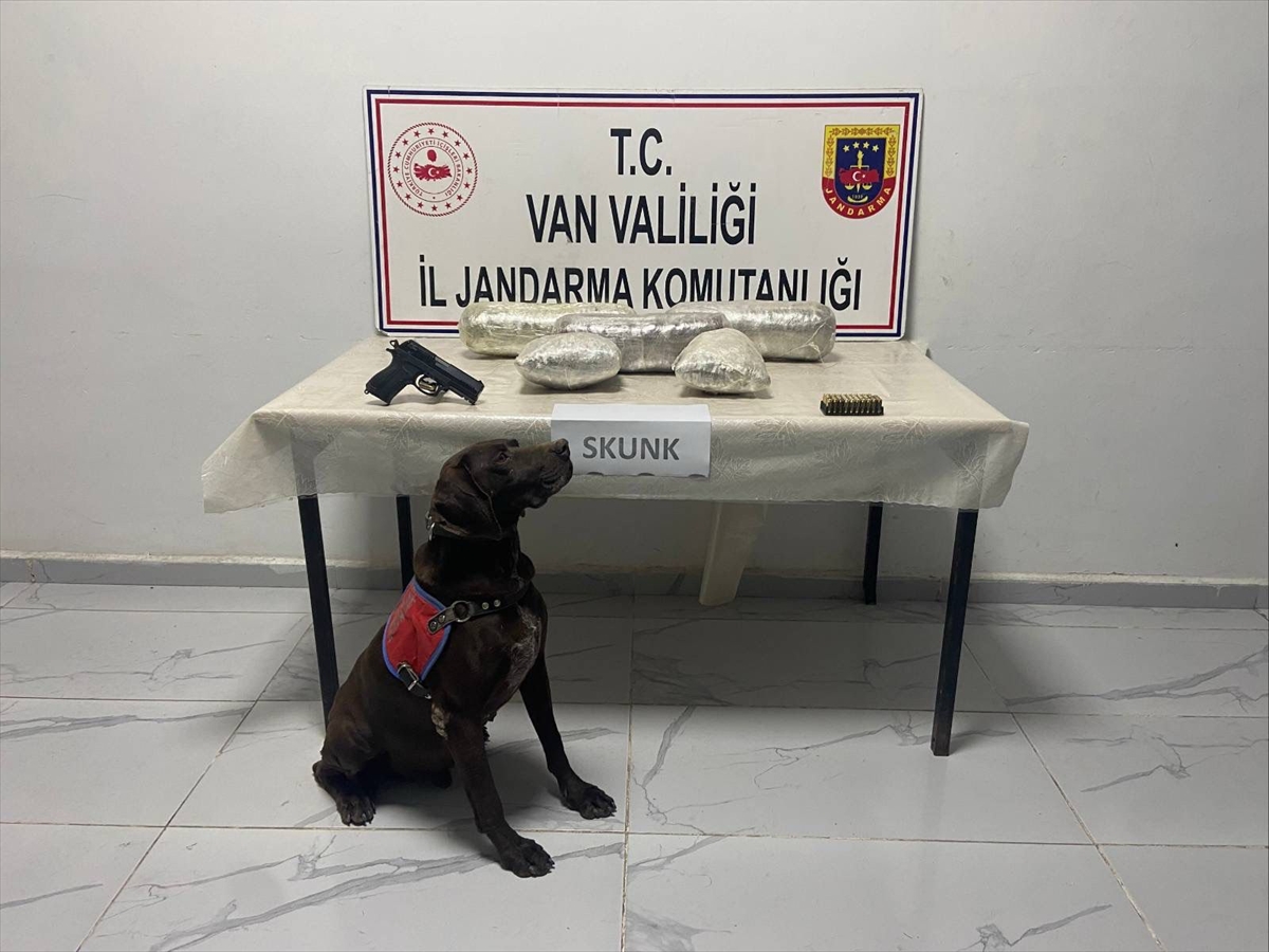 Van'da Uyuşturucu Operasyonu Şok Etti: 4 Kilo 311 Gram Skunk Ele Geçirildi
