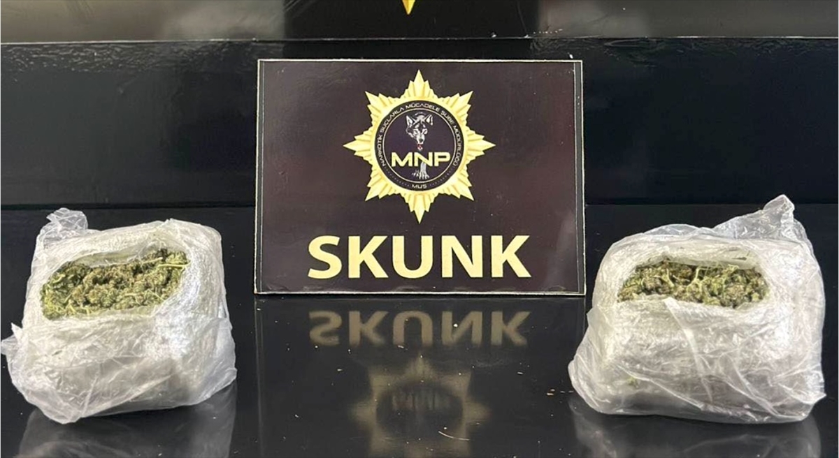 Muş'taki Uyuşturucu Operasyonu Arka Planda Neler Olduğunu Ortaya Koyuyor