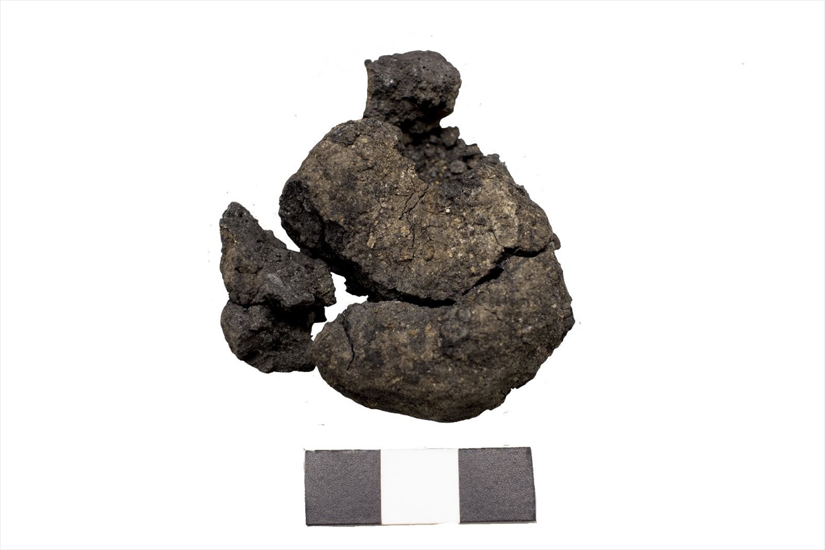 Tavşanlı'da 4 Bin Yıllık Nohut ve Çatalhöyük'te 8 Bin 600 Yıllık Ekmek Kalıntıları Ortaya Çıktı