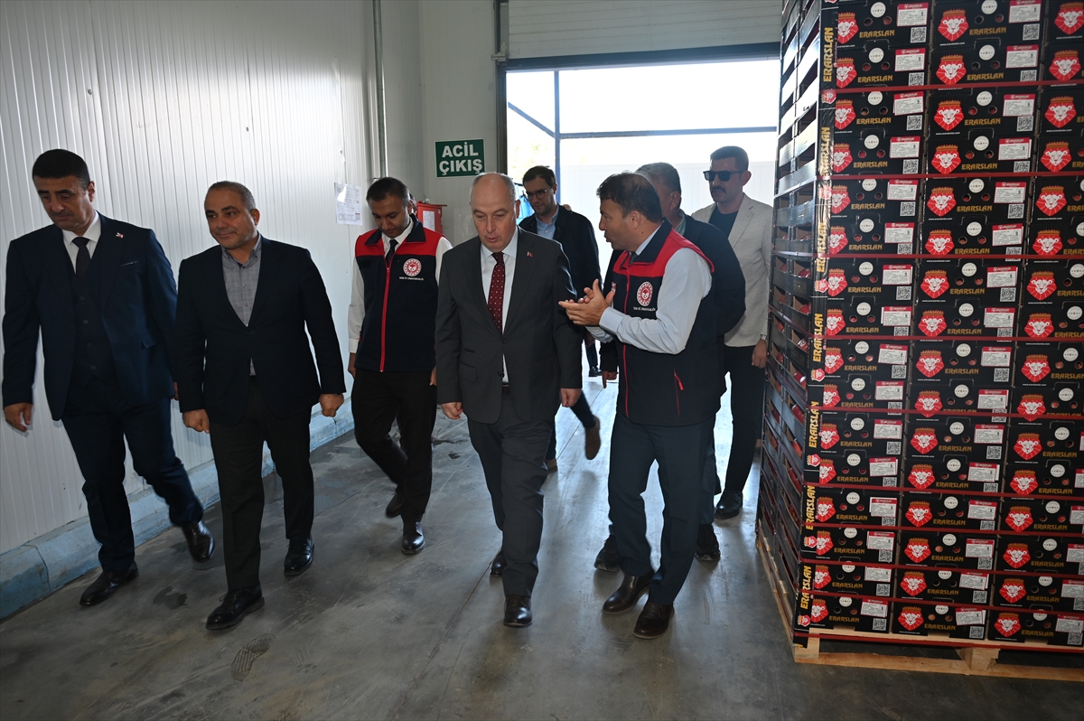Denizli'de Nar Hasadı Başladı Ekonomiye Canlılık Gelecek