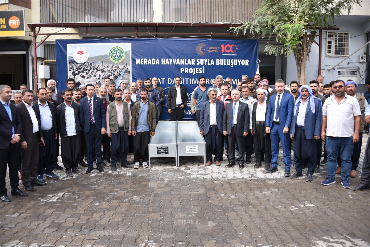 Siverek'te Hayvan Üreticilerine Büyük Destek: Sıvat Dağıtımı Başladı