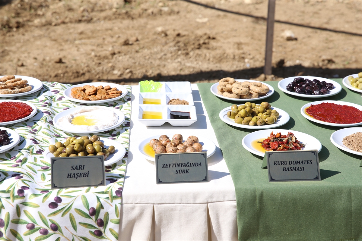Hatay Zeytin ve Zeytinyağı Festivali Coşkuyla Başladı