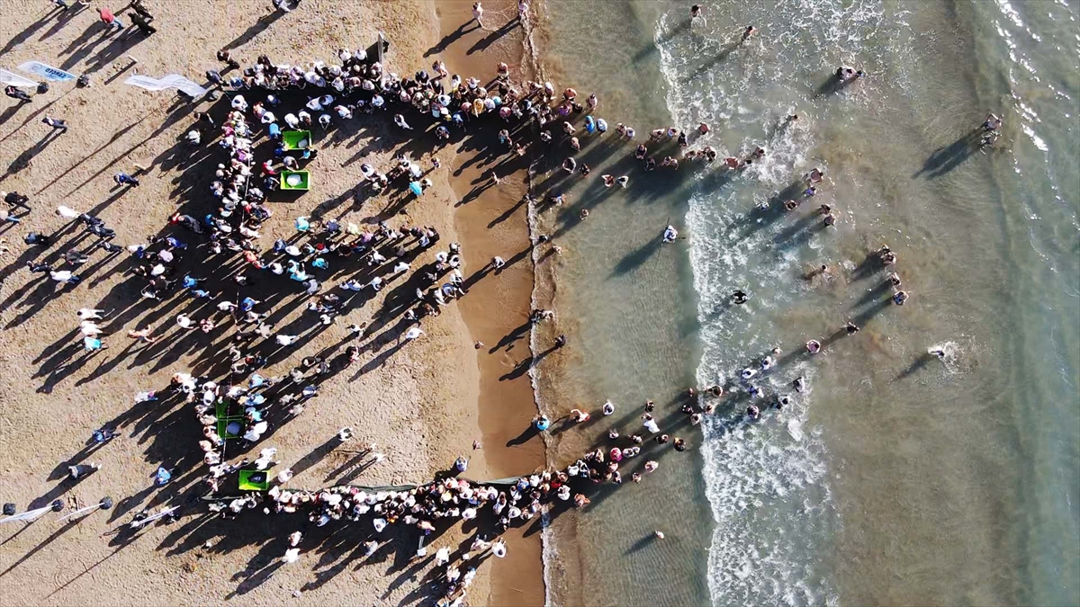 Muğla'da Deniz Kaplumbağaları Cumhuriyet Coşkusuyla Denizle Buluştu