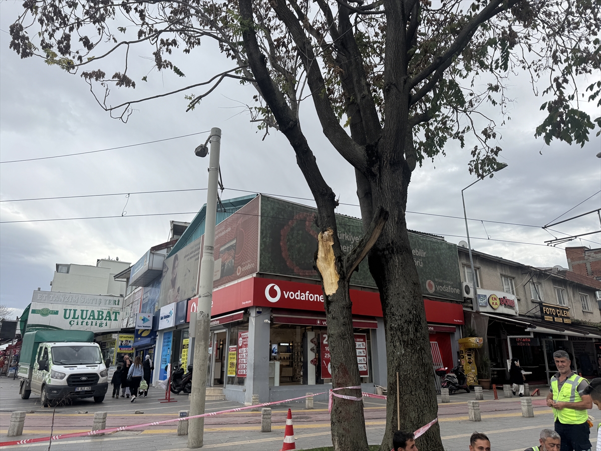 Bursa'da Lodos Fırtınası Hayatı Felç Etti