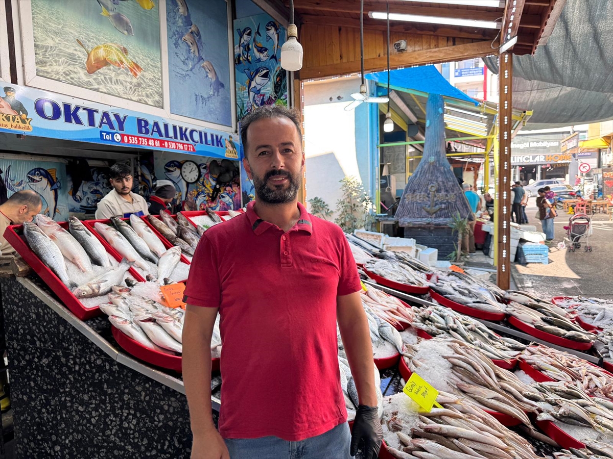 Hatay'da Tekne Macerası Köpek Balığıyla Nefes Kesti
