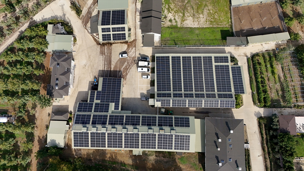Kırklareli'nde Ceviz Üretiminde Dönüşüm: Elektriği Güneşten Karşılıyorlar