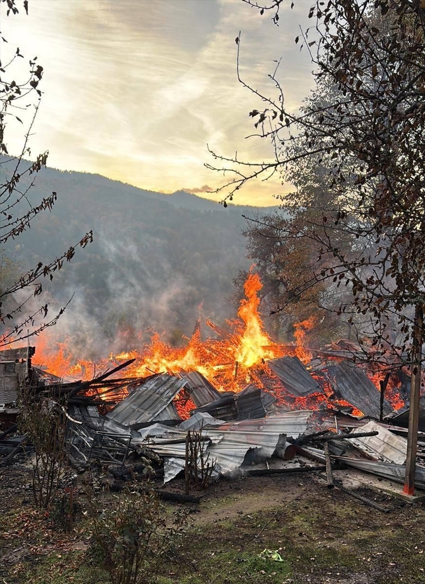 Yenice'de patlak veren yangında hayat kurtarma çabaları