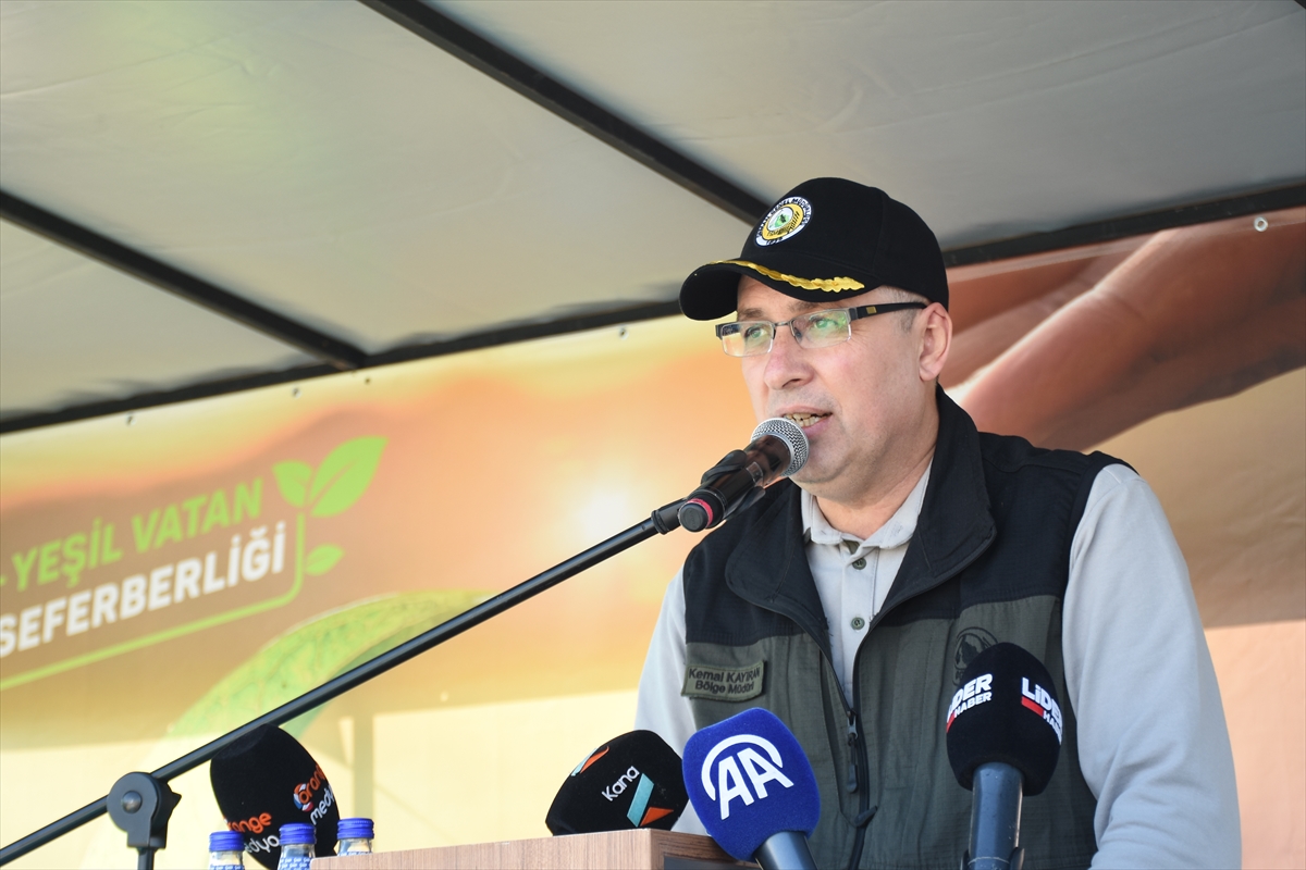 Antalya'da Fidan Dikim Etkinlikleri Neler Sağladı?