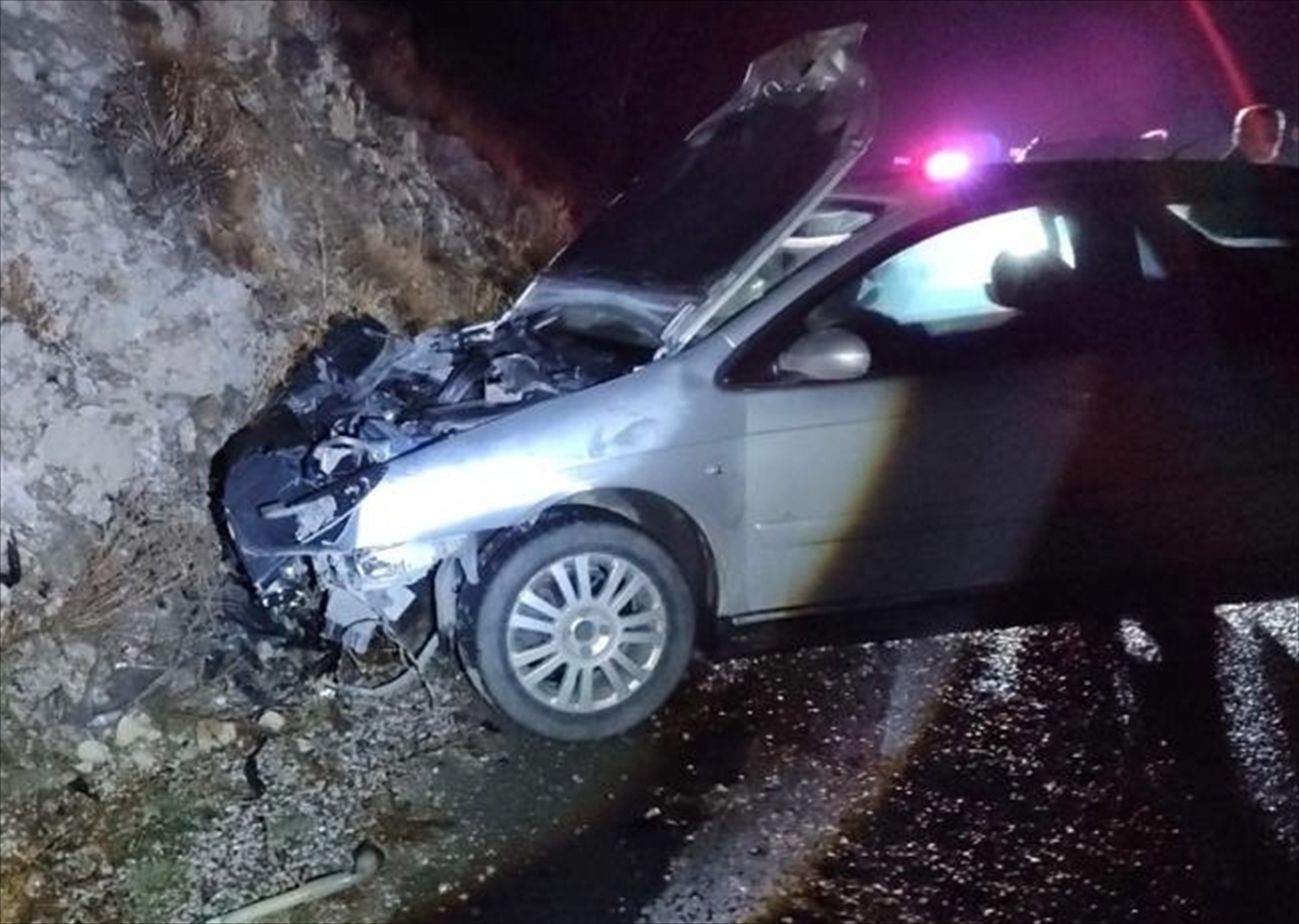 Erzincan'da Ayı Çarpmasına Dayanamayan Otomobil Yolcu Yaraladı