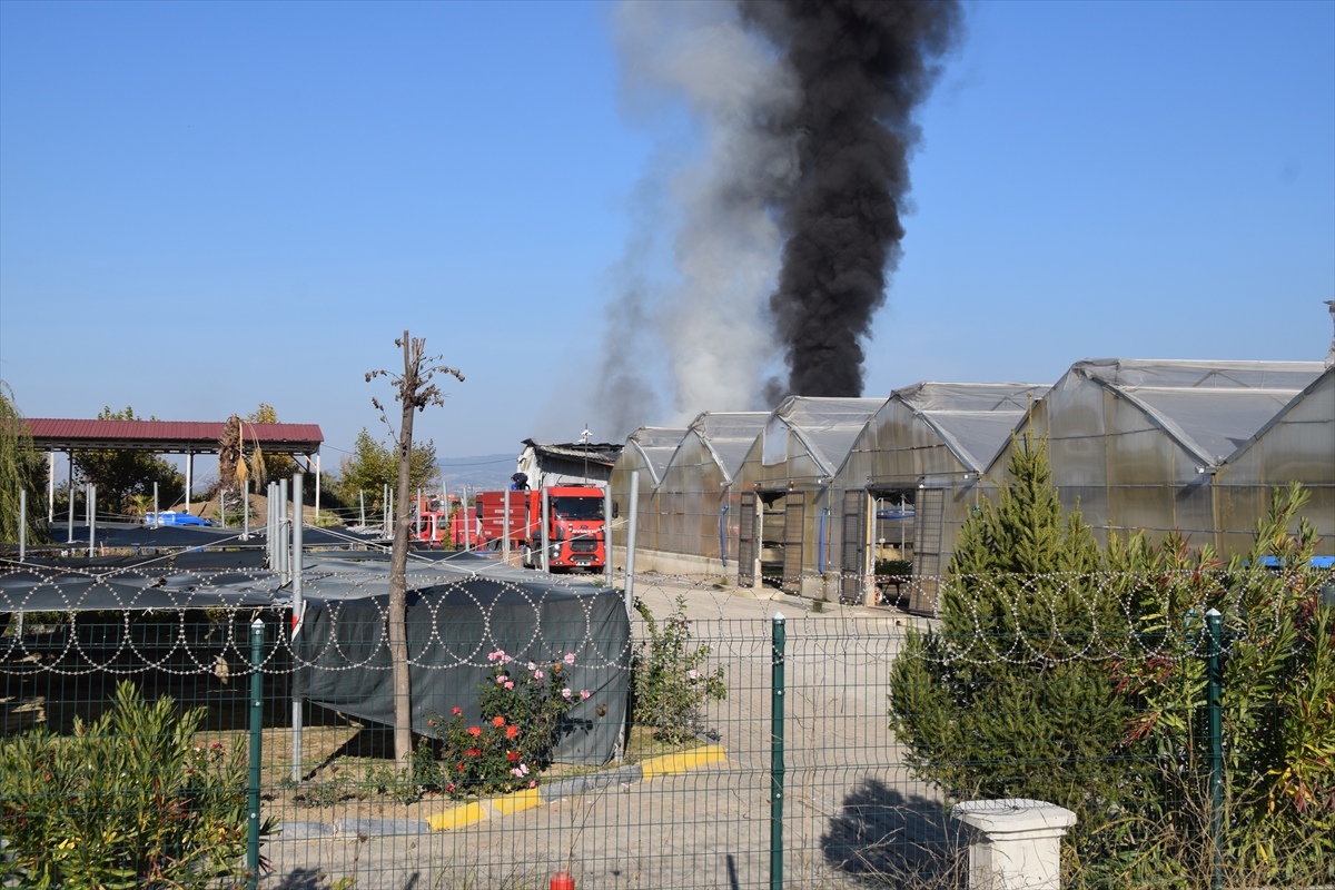 Manisa'da Sera Yangını Paniği: Çiçekler ve Ağaçlar Zarar Gördü