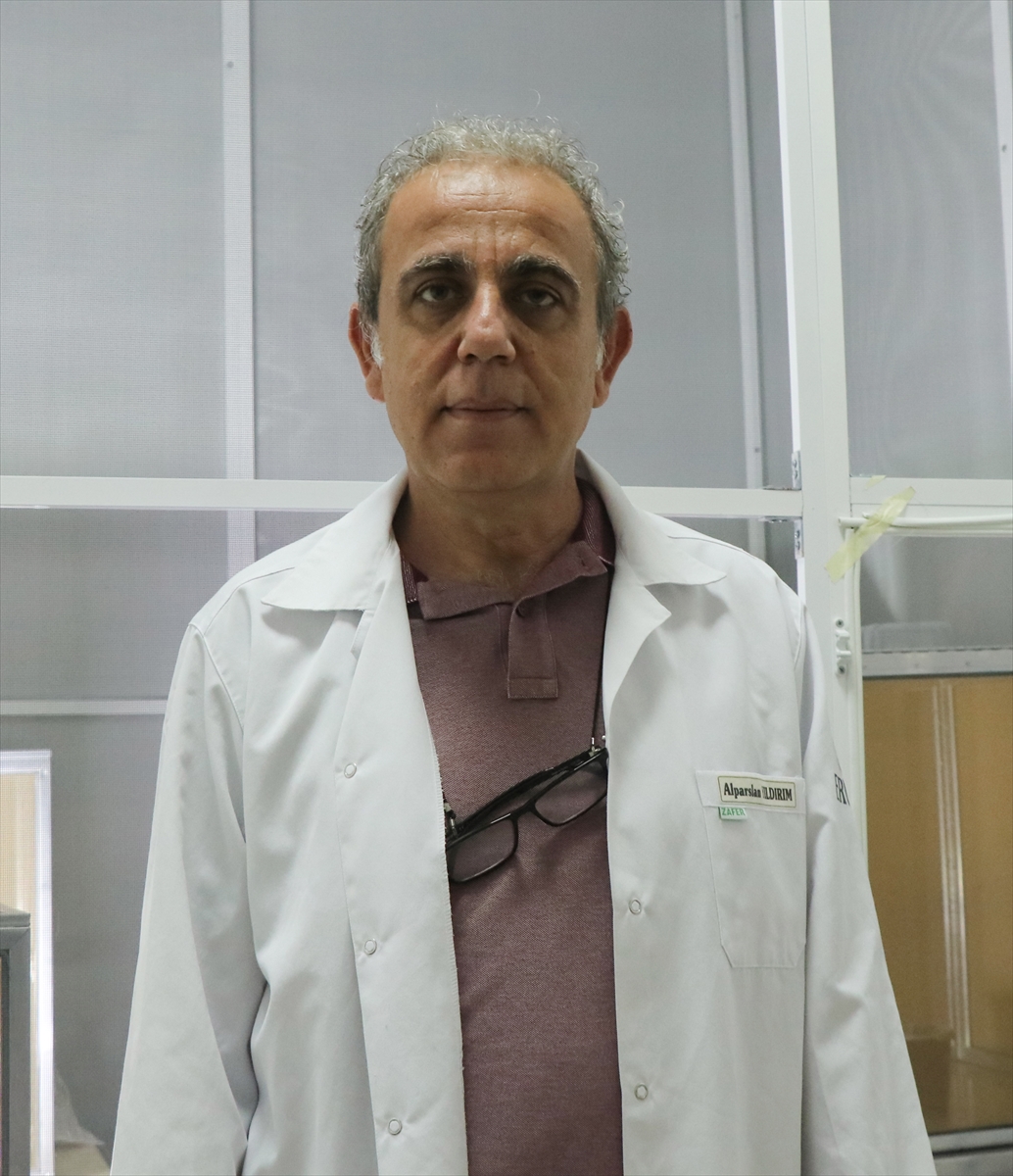 Asya Kaplan Sivrisineği Türkiye'de Yayılıyor ama Virüs Endişesi Yok