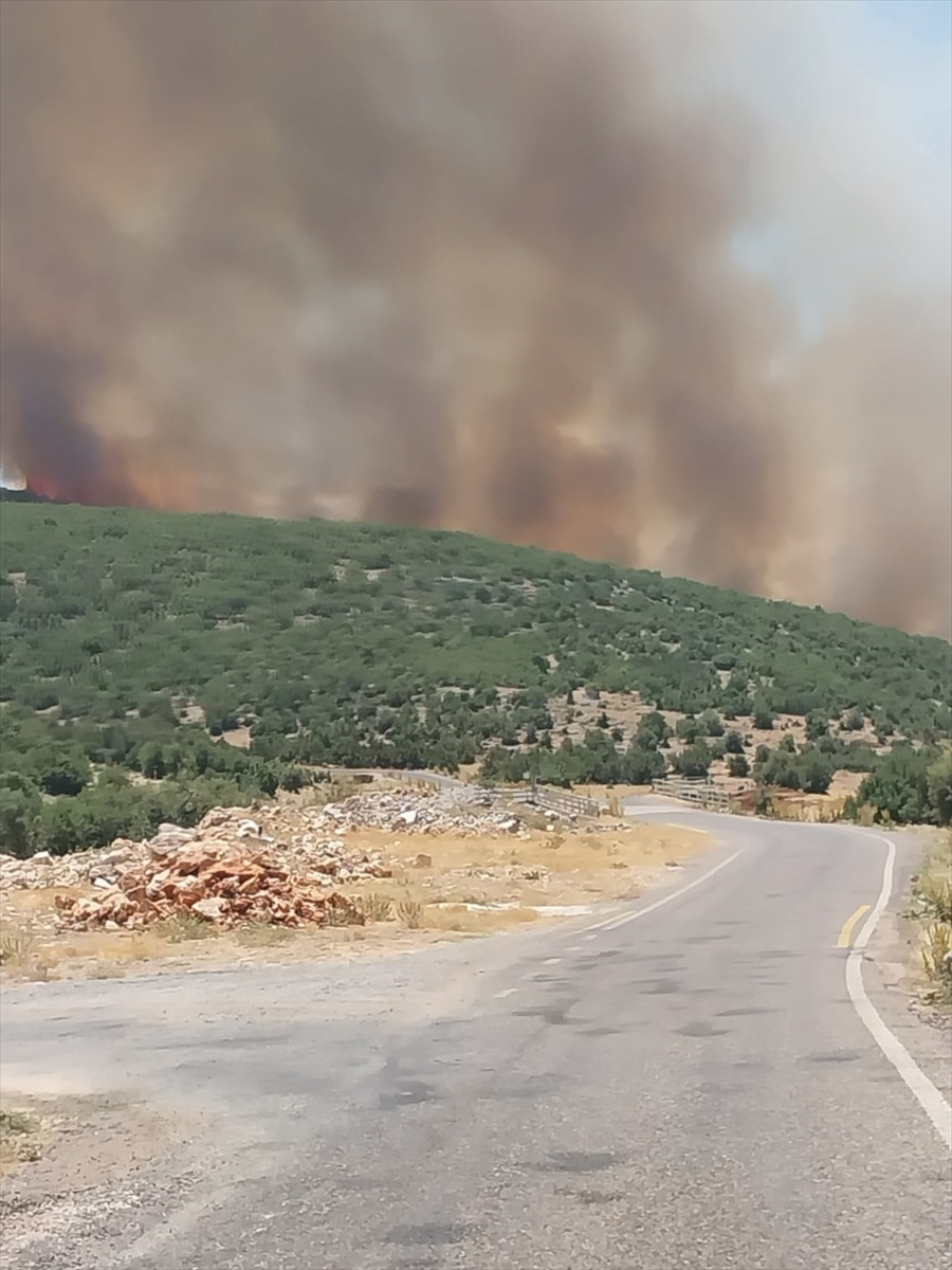 Gaziantep Nurdağı'nda Orman Yangını Kontrol Altına Alınmaya Çalışılıyor