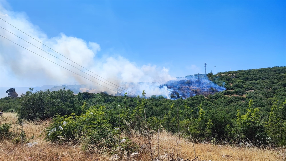 Bursa'nın İki İlçesinde Orman Yangınlarıyla Mücadele Sürüyor