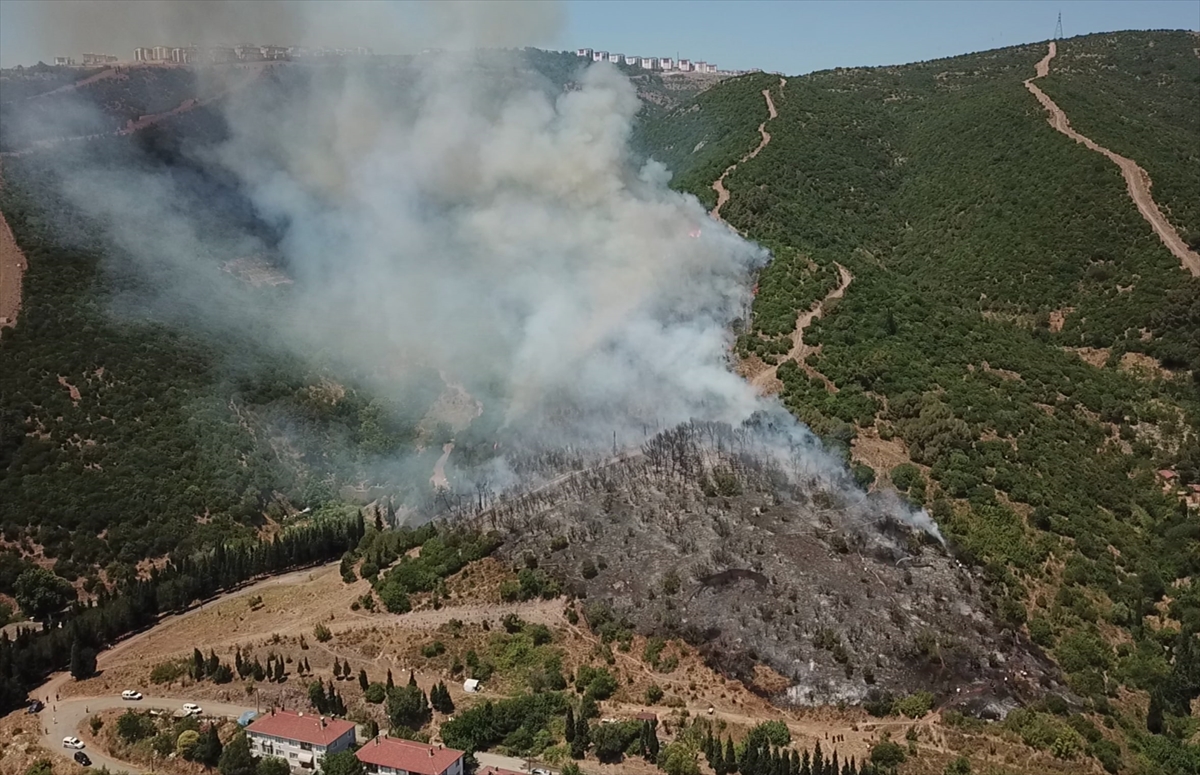 Kocaeli'nin Yeşil Alanları Tehlikede: Orman Yangınıyla Mücadele Devam Ediyor