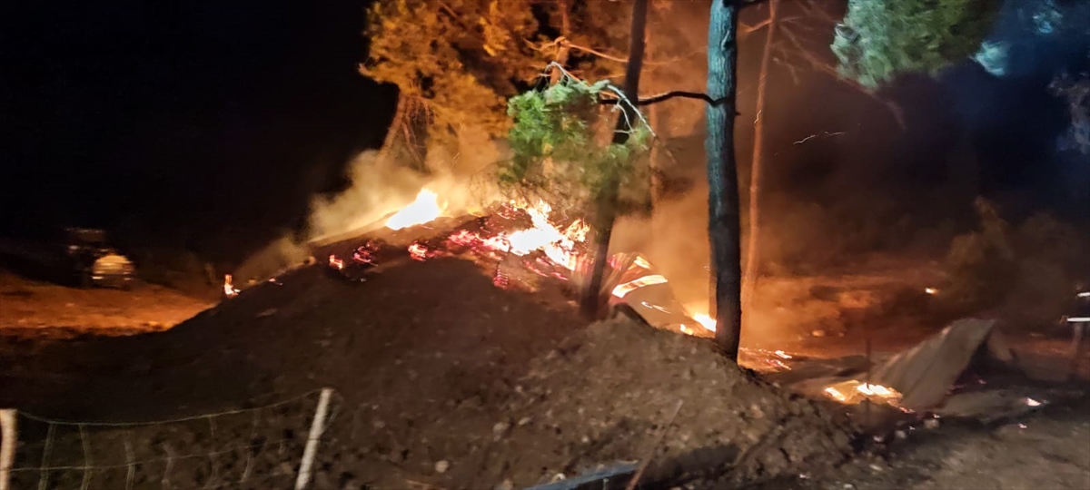 Bilecik'te Girişimcinin Yıllarca Üzerinde Çalıştığı Hayvan Irkları Yok Oldu