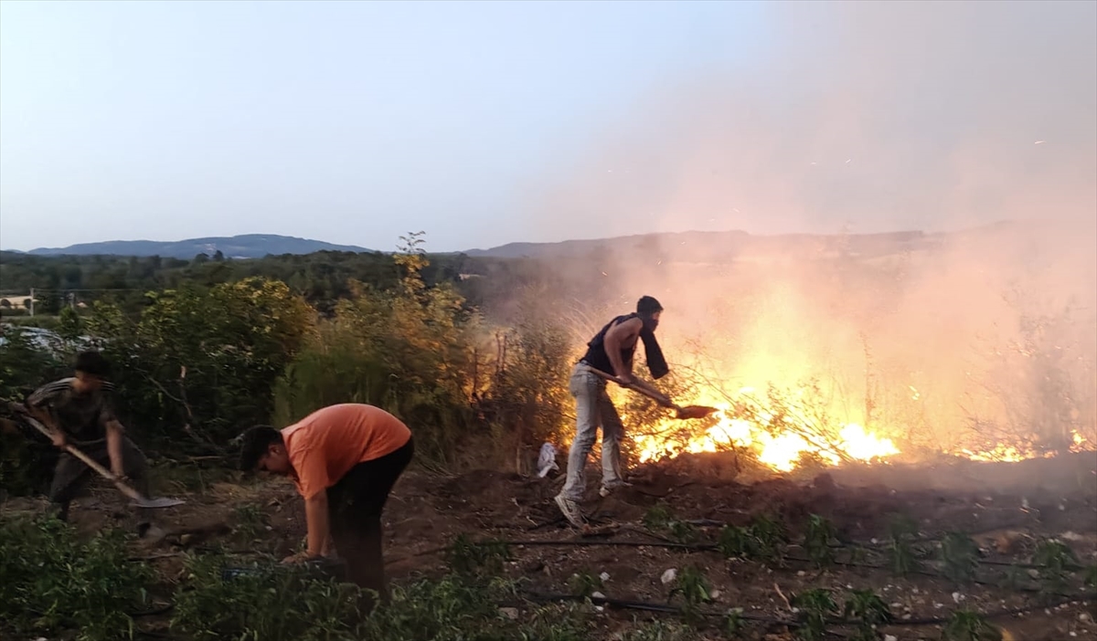 Balıkesir'de Tavuk Çiftliğinde Çıkan Yangın Ormana Sıçradı