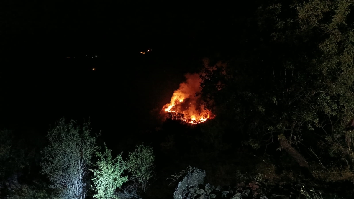 Elazığ’ın Sivrice İlçesinde Çıkan Örtü Yangını Söndürüldü