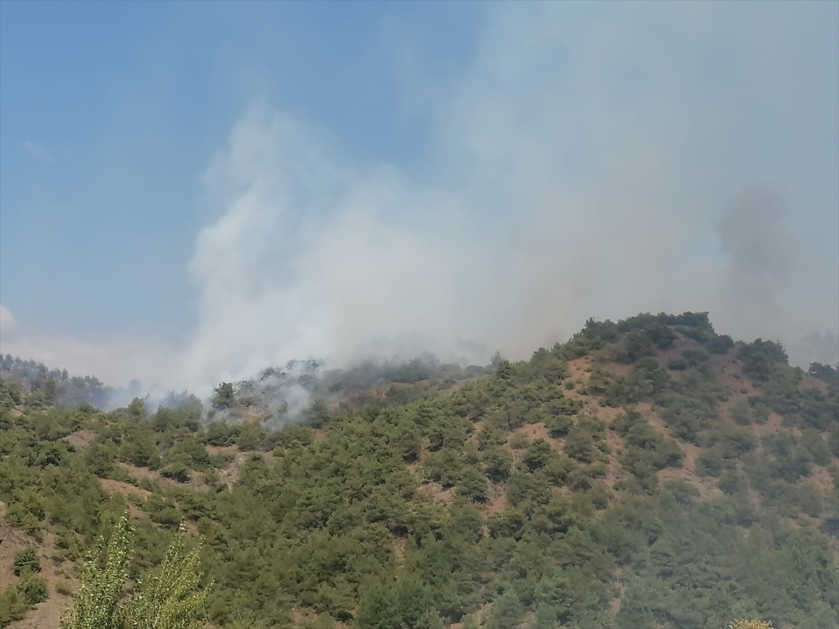 Tokat'ta Orman Yangınının Ardından Gelen Yıkım Dronlarla Tespit Edildi