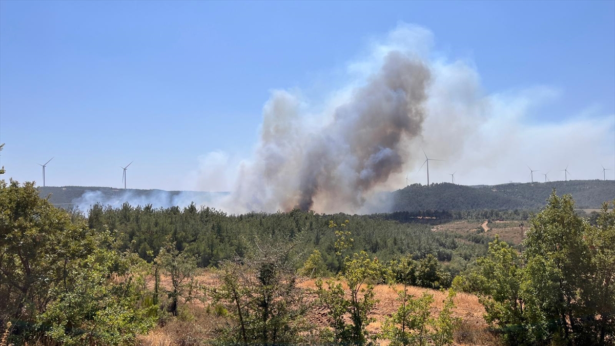 Çanakkale'de Orman Yangınına Karşı Büyük Mücadele