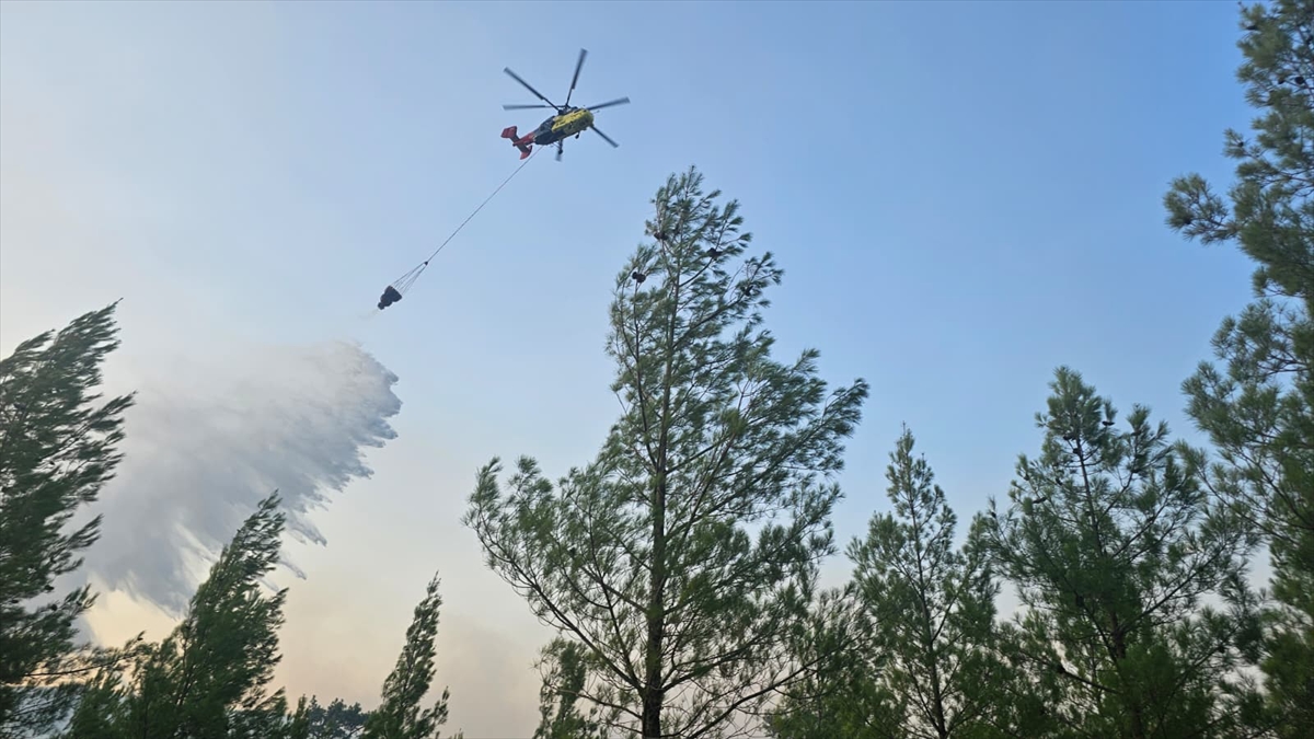 Acıpayam'daki Orman Yangını Başarıyla Söndürüldü