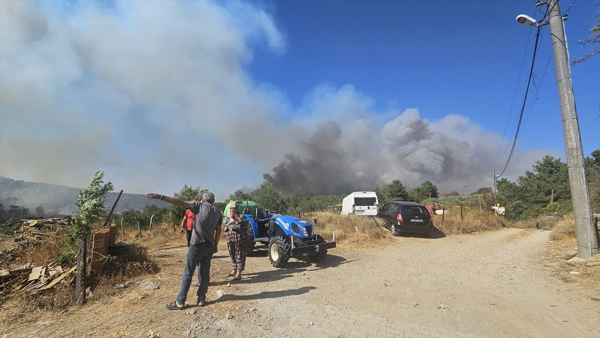 Çanakkale'de Orman Yangını Herkesi Harekete Geçirdi