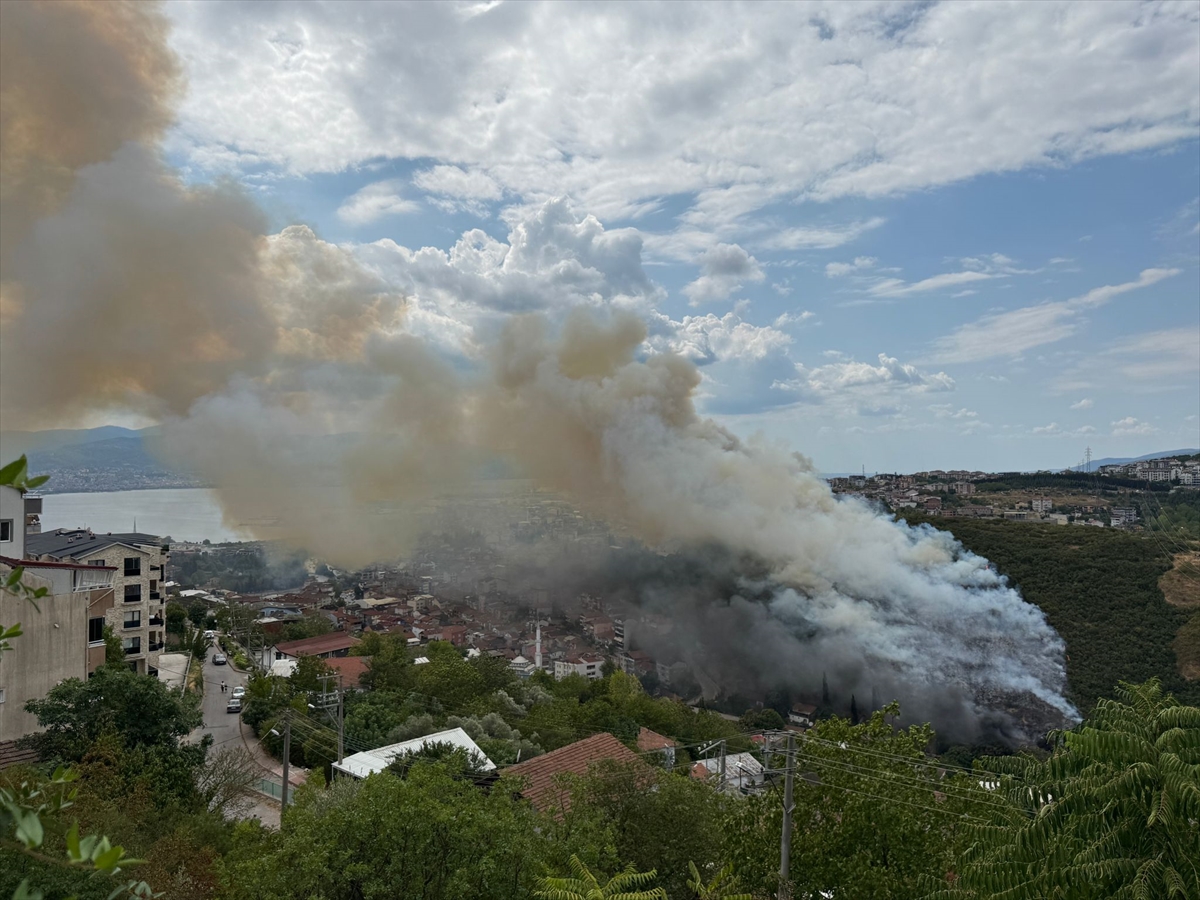 Kocaeli'de Orman Yangını İle Başlayan Tehlike Nasıl Atlatıldı?