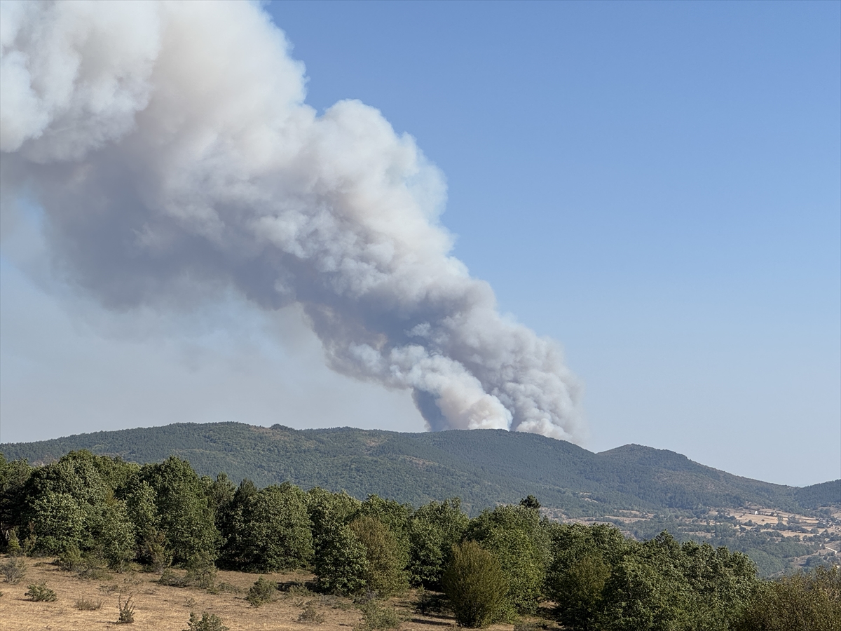 Karabük'te Çıkan Orman Yangını Korkutuyor