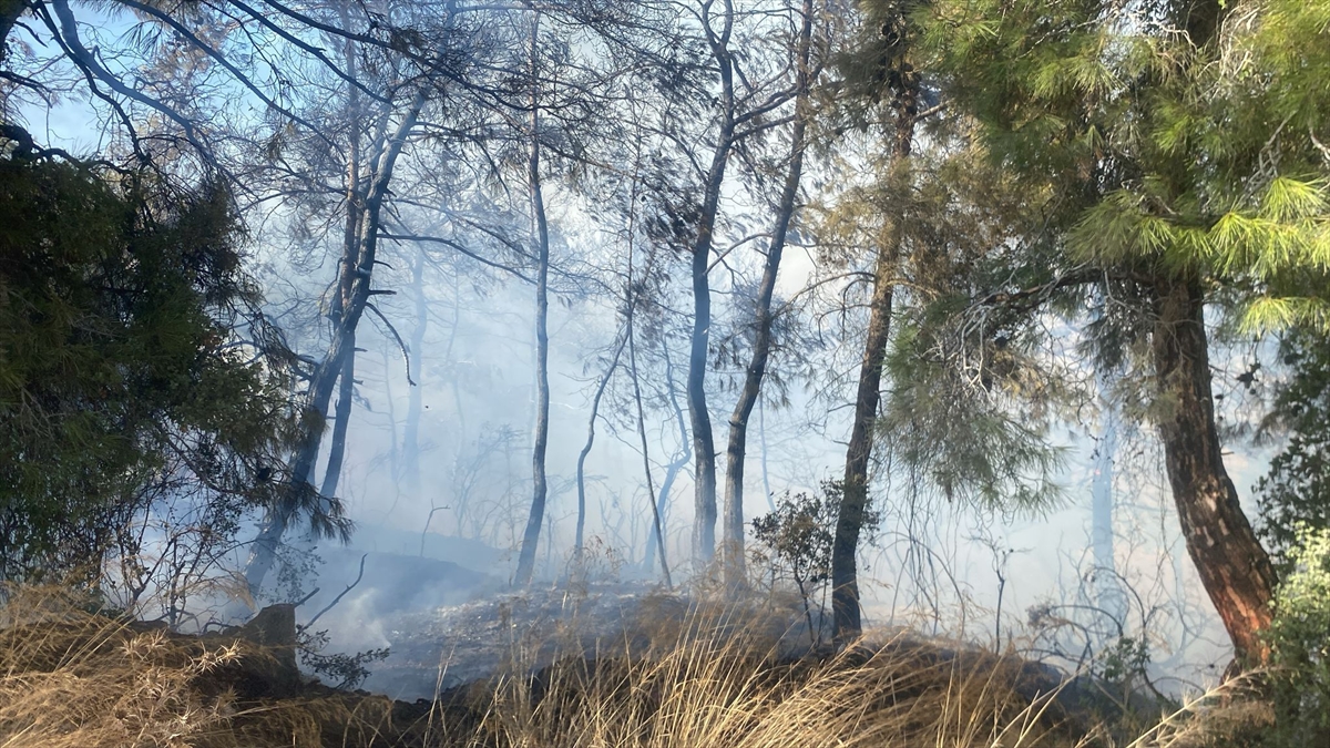 Manavgat'ta Korkutan Yangın Yerleşim Yerine Metreler Kala Kontrol Altında