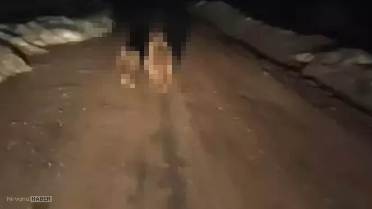 Gece karanlığında aniden belirdi! Sürücüler gözlerine inanamadı!